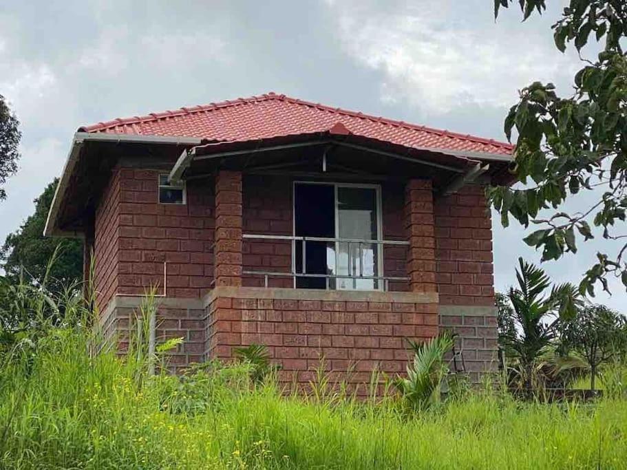 Mars Jungle Adventure Stud Farm With Private Jacuzzi Narsinge Exterior foto