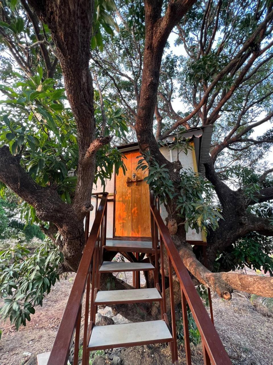 Mars Jungle Adventure Stud Farm With Private Jacuzzi Narsinge Quarto foto
