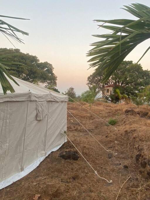 Mars Jungle Adventure Stud Farm With Private Jacuzzi Narsinge Quarto foto